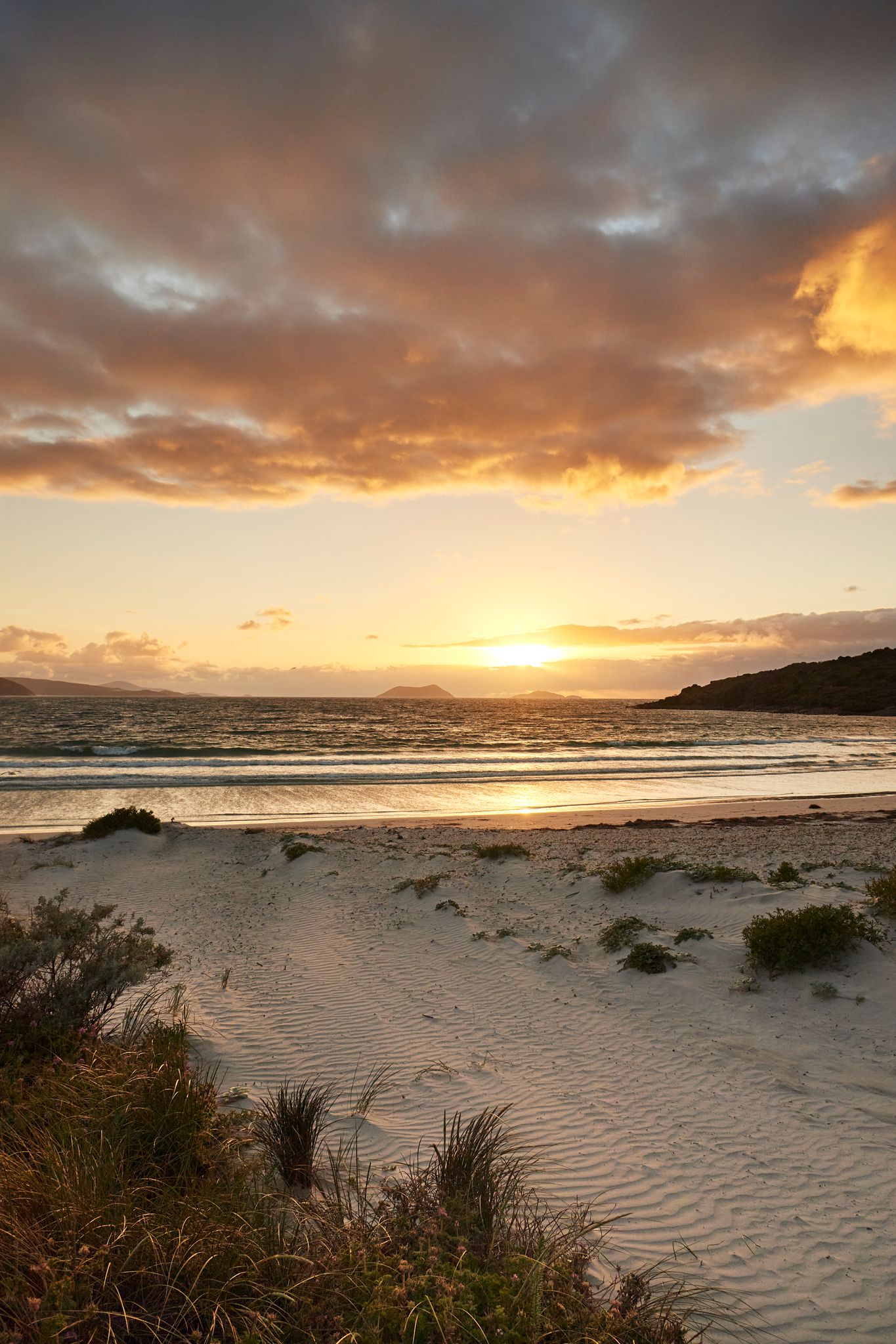 Middleton beach albany