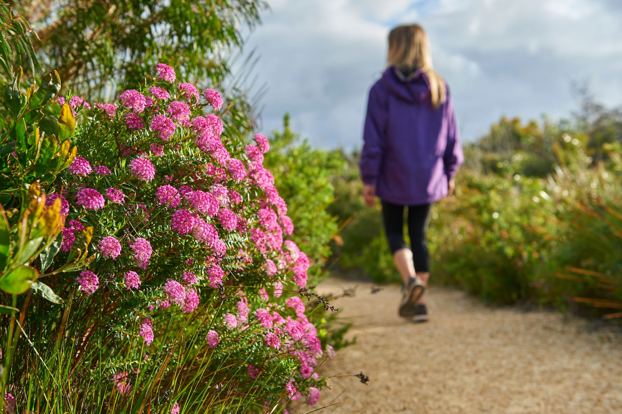 Woman walking along Stony Hill Walk Trail in Torndirrup National Park, Albany