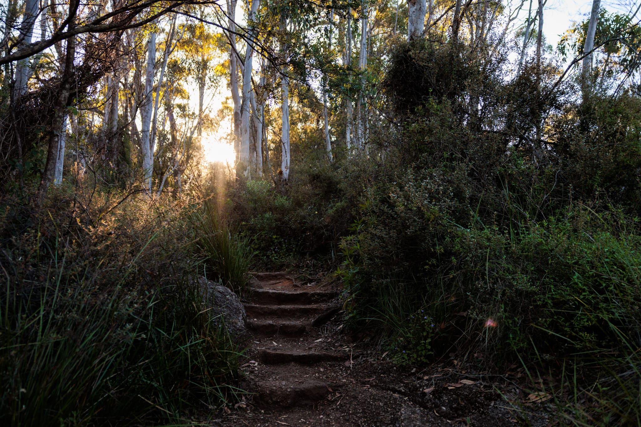Porongurup National Park, Castle Rock