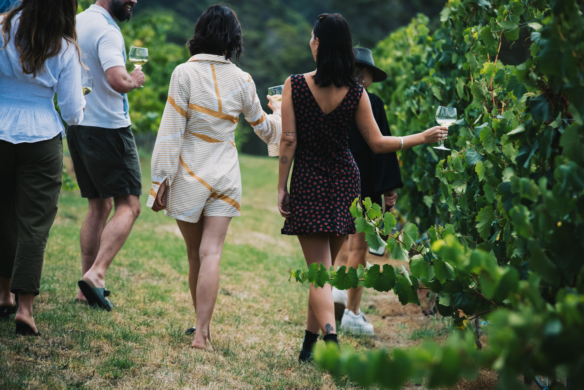 Walking through the wild vineyards at Singlefile, Denmark with a wine in Hand