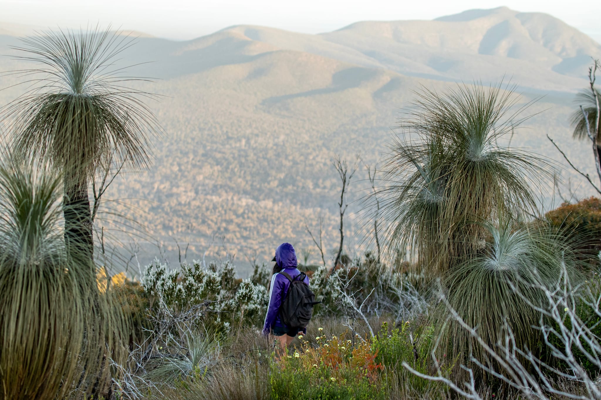 Stirling Range National Park