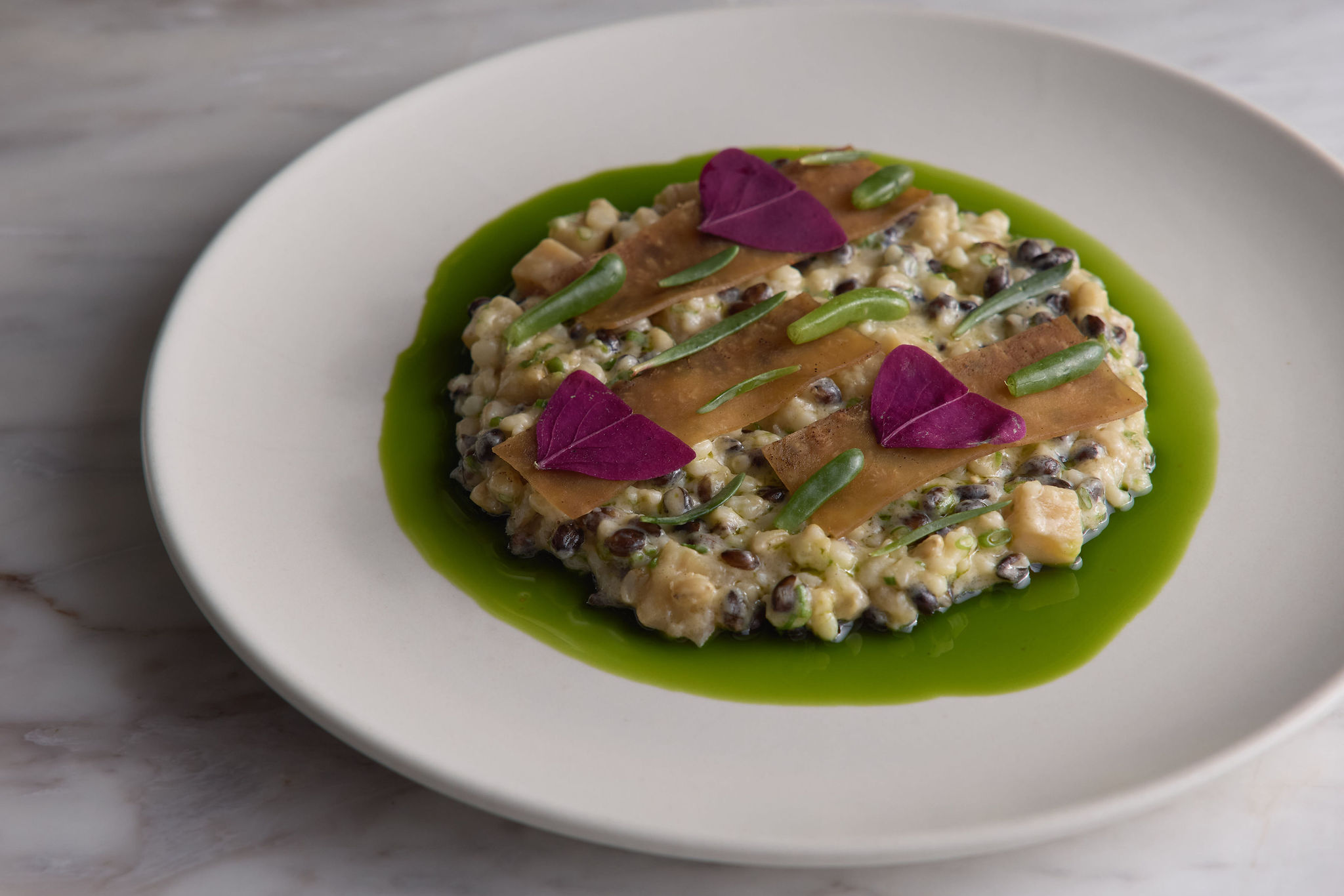 Hearth - Mixed grain risotto, barbecued celeriac, confit shallots, lemon aspen, costal greens