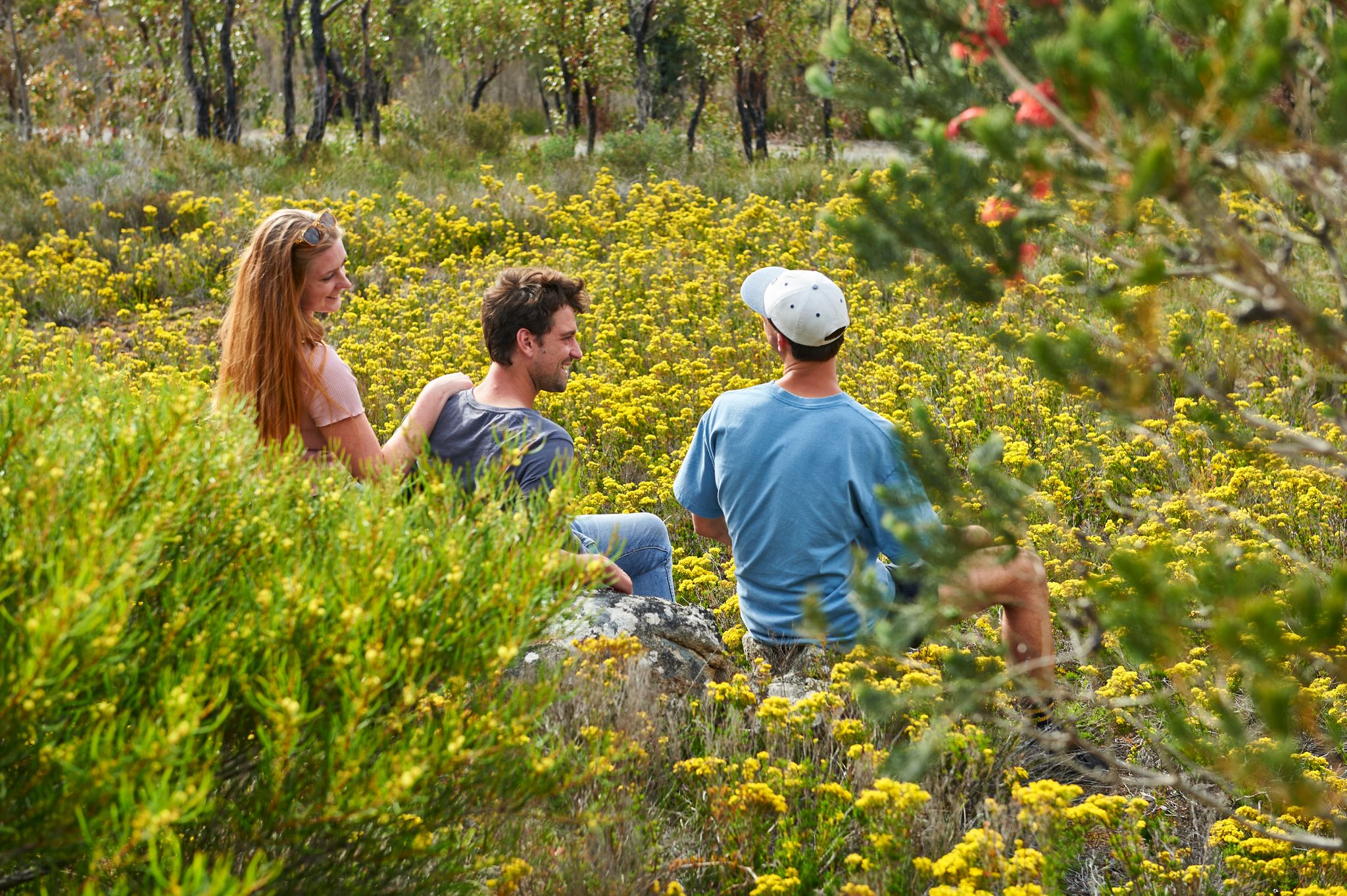 Mount Barker Wildflowers